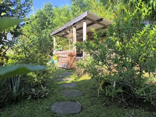 Path to the garden in rental house Uganda.