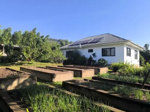 Rental house with solar power and raised beds for herbs and vegetables.